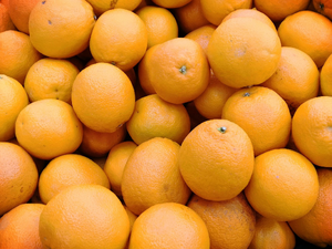 Dentiste urgence Orange